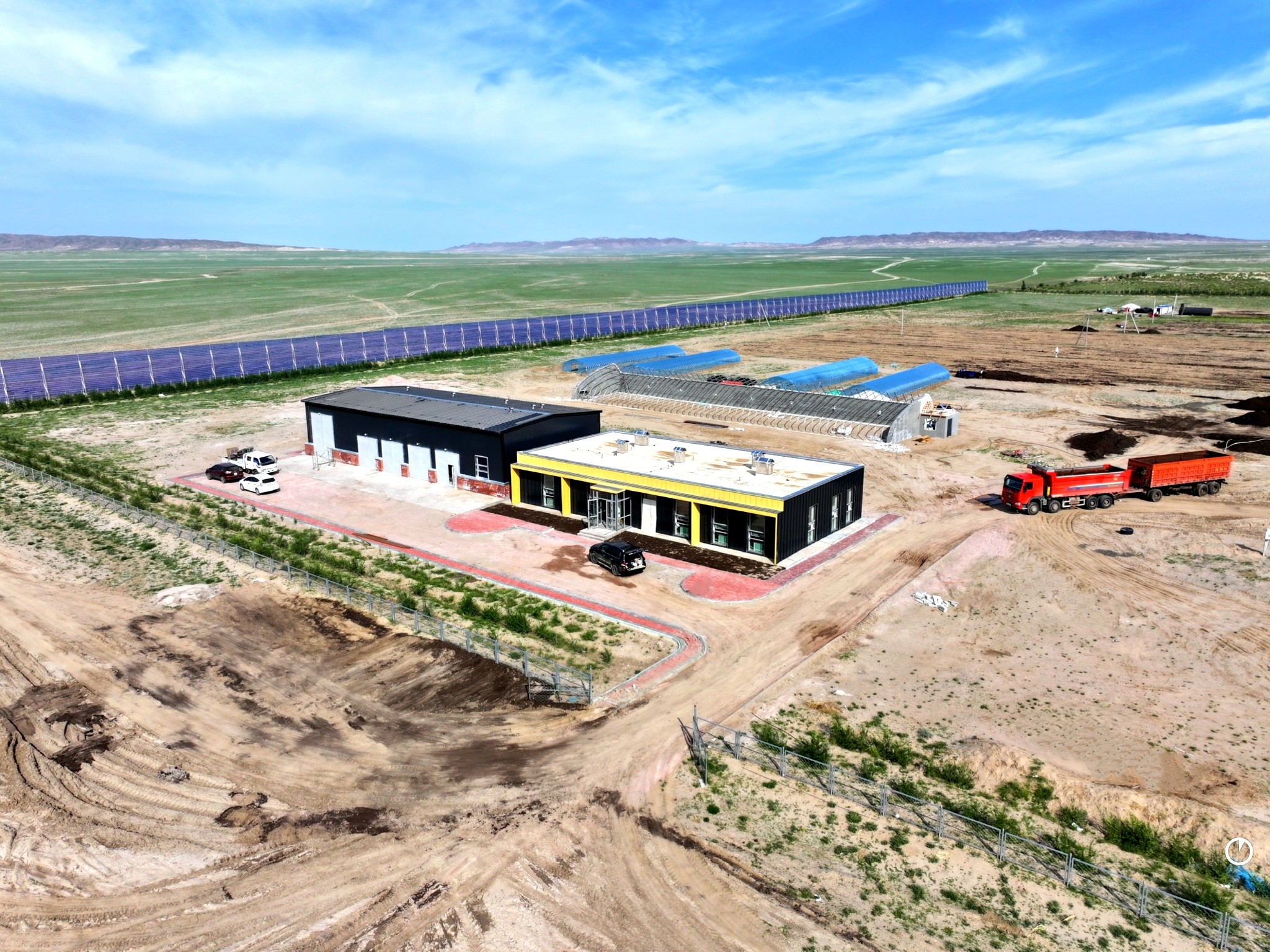 One Million Tons – One Million Trees Project